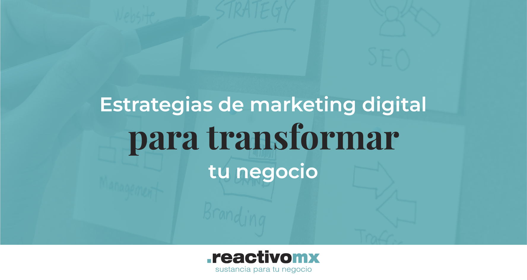 Estrategias de marketing digital para transformar tu negocio